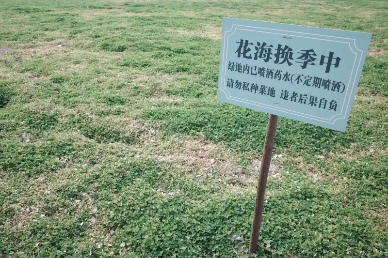 工艺礼品与家居用品融合设计的技术发展趋势