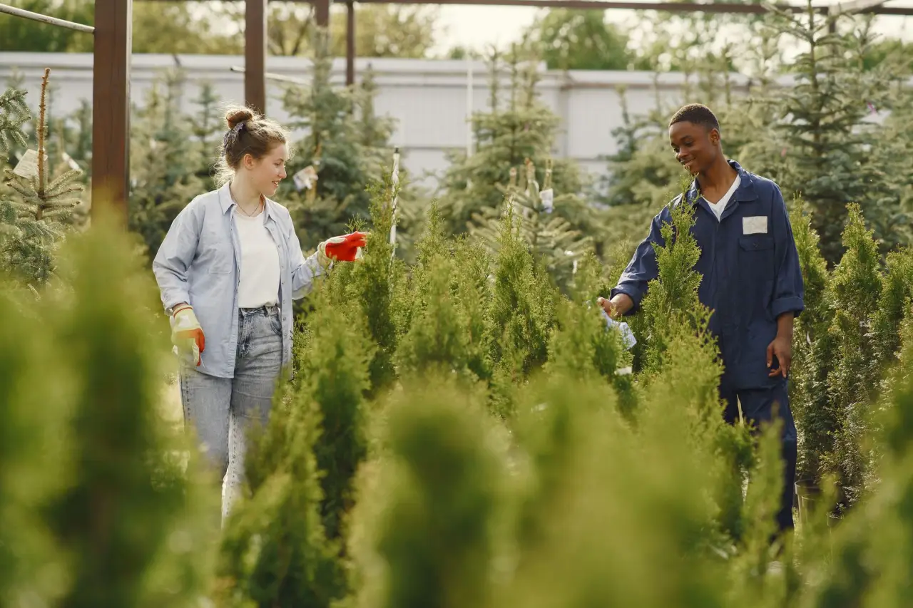 工艺礼品行业环保政策对批发供应链的影响分析