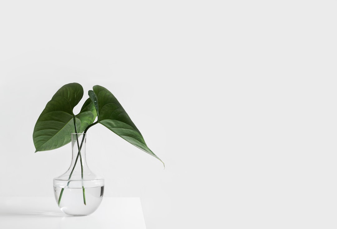 家居用品批发商选择工艺礼品供应商的考察要点解析